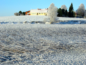 Niemel�n kaislikko. Linkki 535 kt kuvaan