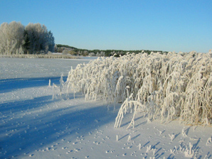 Talvinen saari. Linkki 439 kt kuvaan