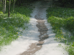 Pumpulitie Mosabakassa