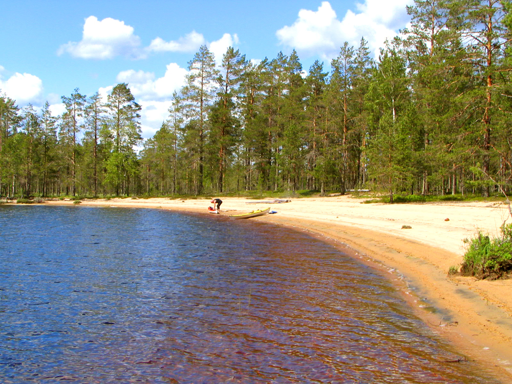 Paluu edelliselle sivulle.