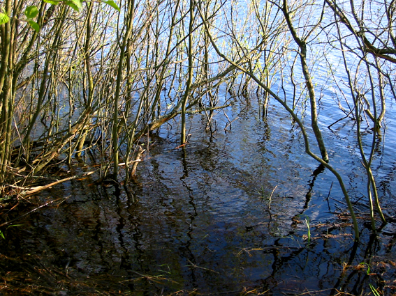Paluu edelliselle sivulle.