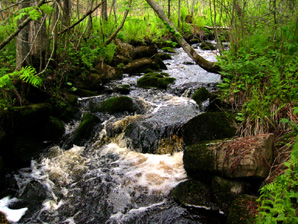 Kohisevan yl�juoksua. Linki  735 kt kuvaan