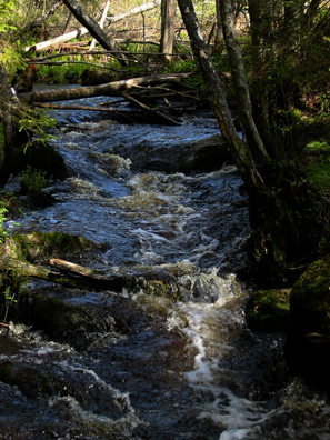 Koski kuohuu. Linkki 397 kt kuvaan