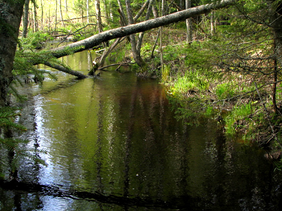 Paluu edelliselle sivulle.