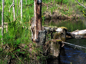 Kohisevan yl�suvanto. Linki isompaan 276 kt kuvaan