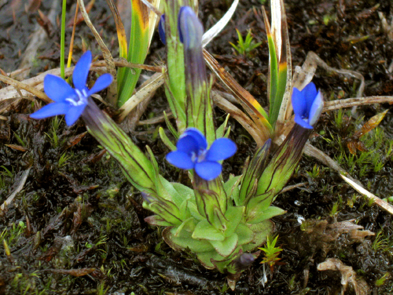 Paluu edelliselle sivulle.