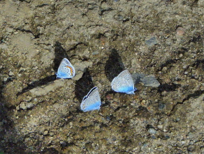Paluu edelliselle sivulle.