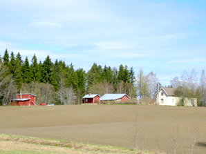 Koivula. Linkki 149 kt kuvaan