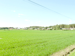 Hipanlahden taloja. Linkki 170 kt kuvaan