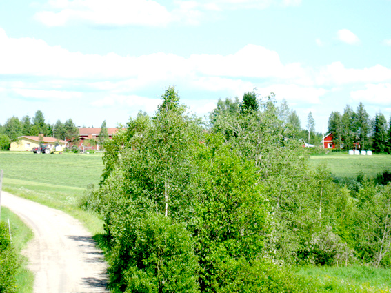 Paluu edelliselle sivulle.
